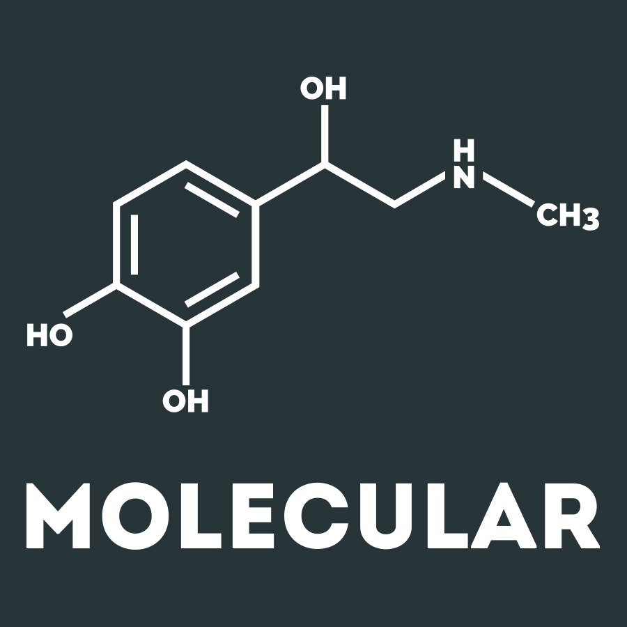 MOLECULAR#3