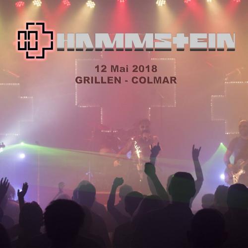 Hammstein (Tribute Rammstein) - Desybes - Trigger
