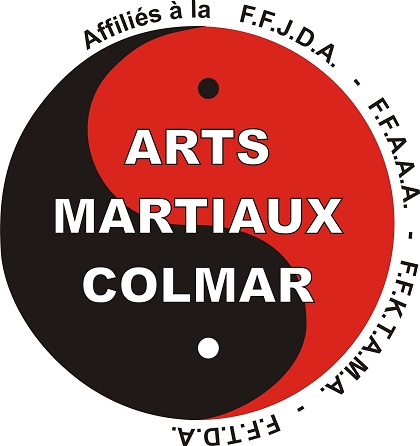 Démontrations d'Arts Martiaux (Judo, Aikido, Taekwondo, Karaté, Krav Maga)