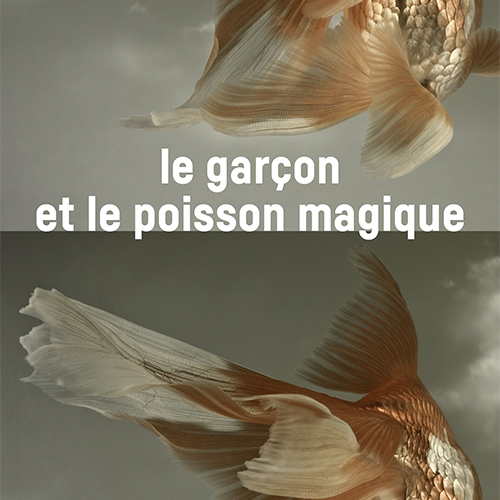 Le Garçon et le poisson magique