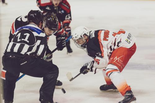 Hockey sur glace - championnat division D2 