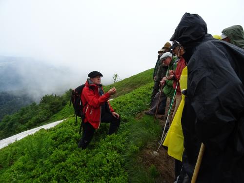 La flore du massif du Kastelberg » avec Bernard Stoehr,