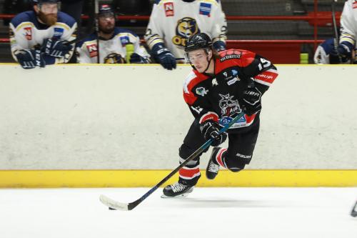 Hockey sur Glace : Les Titans de Colmar Vs Les Renards de Roanne