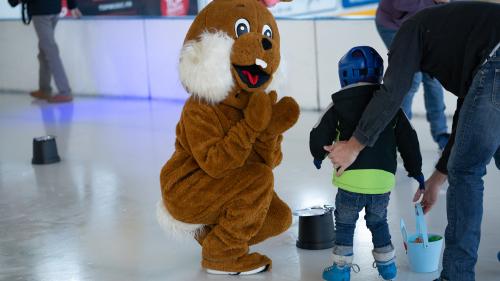 Chasse aux œufs sur glace