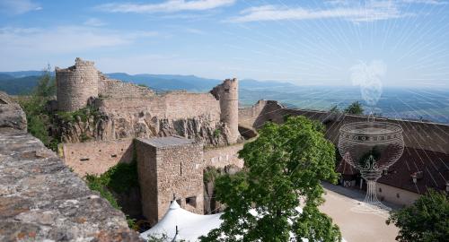 Bierburg game et dégustation