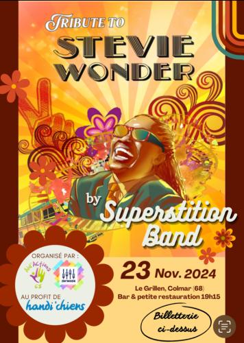 Tribute to Stevie Wonder by Superstition Band 