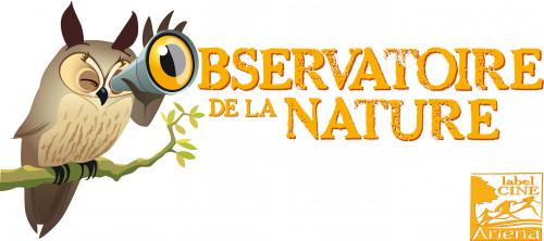 Restos pour les oiseaux