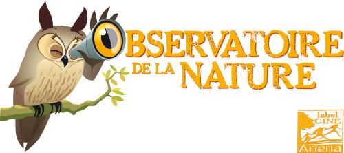 Les mystères de la forêt