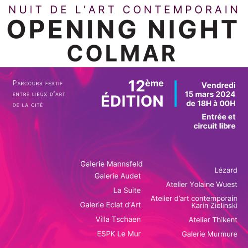 Nuit de l'art contemporain - Opening Night