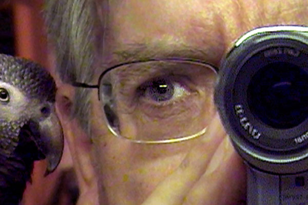 LE FILMEUR